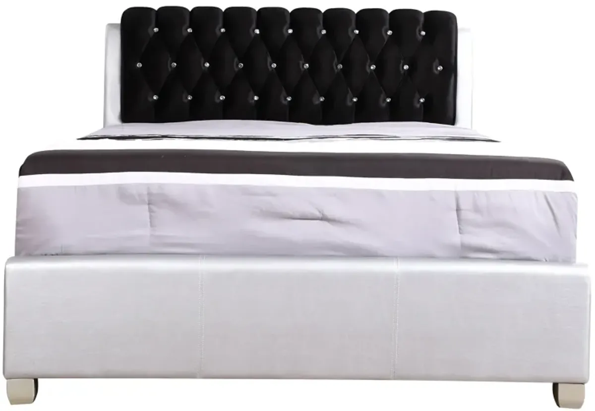 Marilla - Upholstered Bed