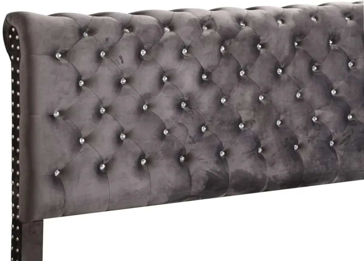 Maxx - Tufted Upholstered Bed