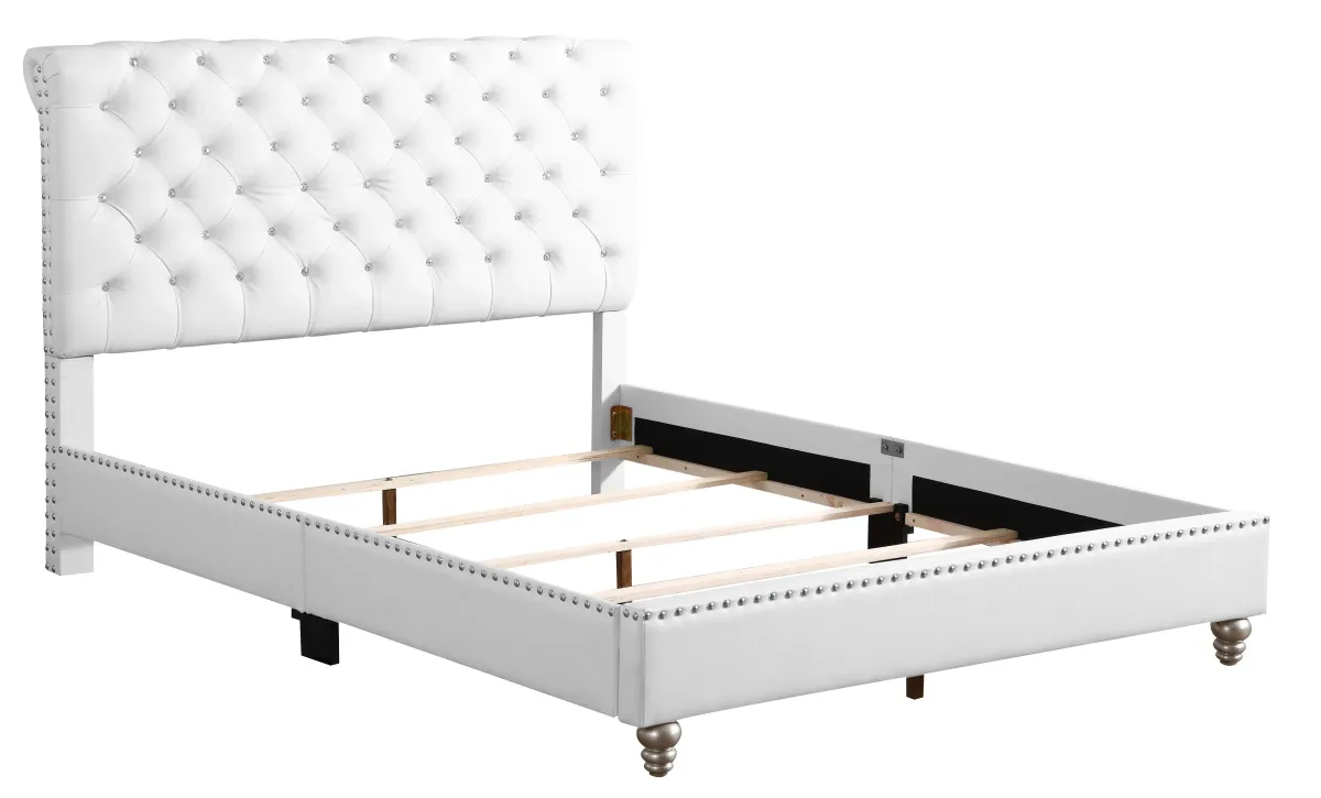 Maxx - Tufted Upholstered Bed