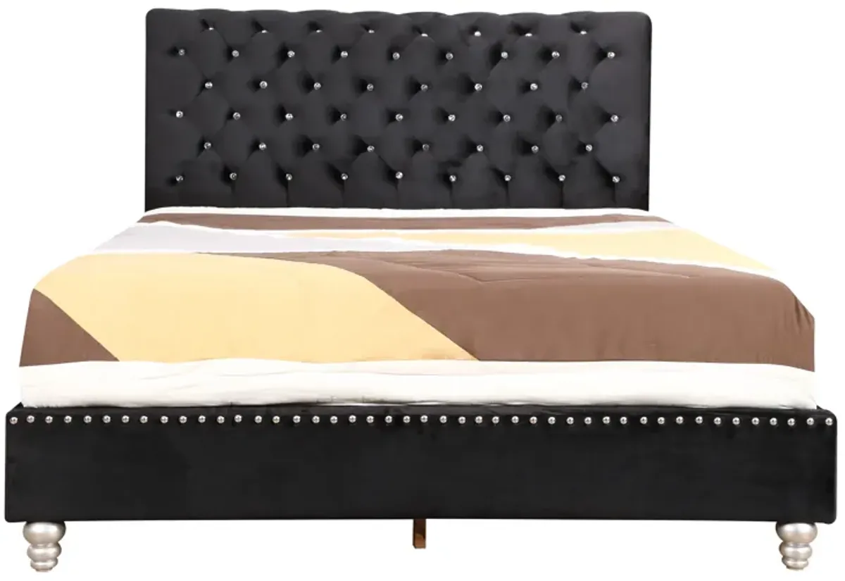 Maxx - Tufted Upholstered Bed