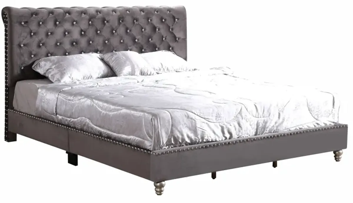 Maxx - Tufted Upholstered Bed