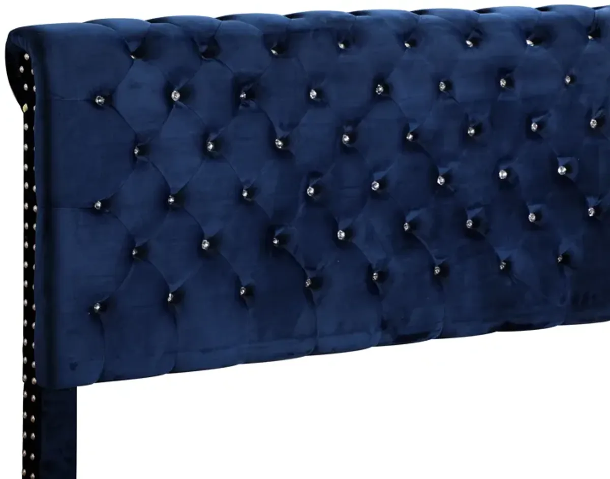 Maxx - Tufted Upholstered Bed