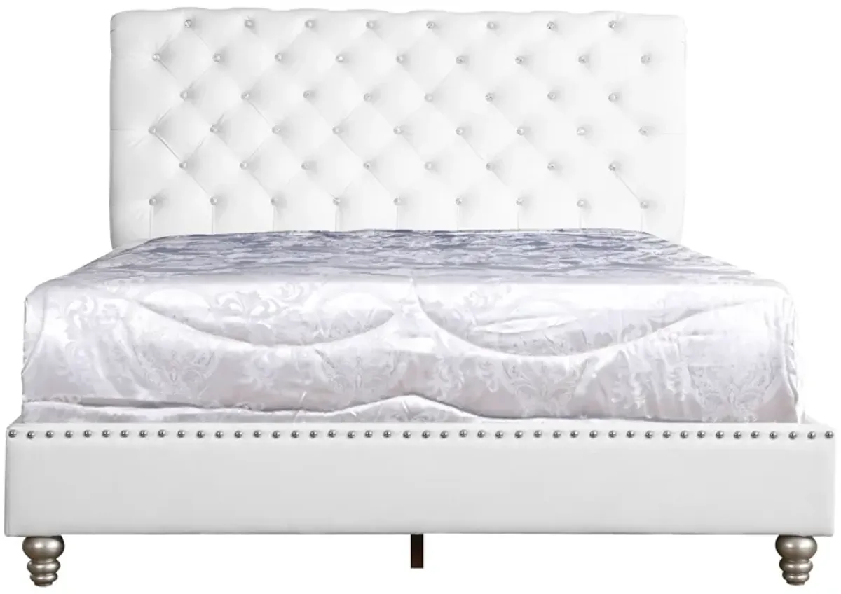 Maxx - Tufted Upholstered Bed