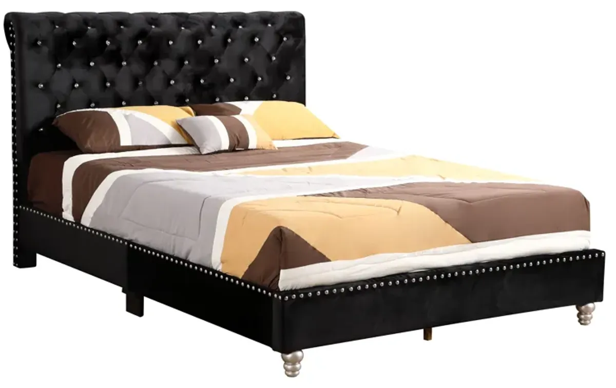 Maxx - Tufted Upholstered Bed