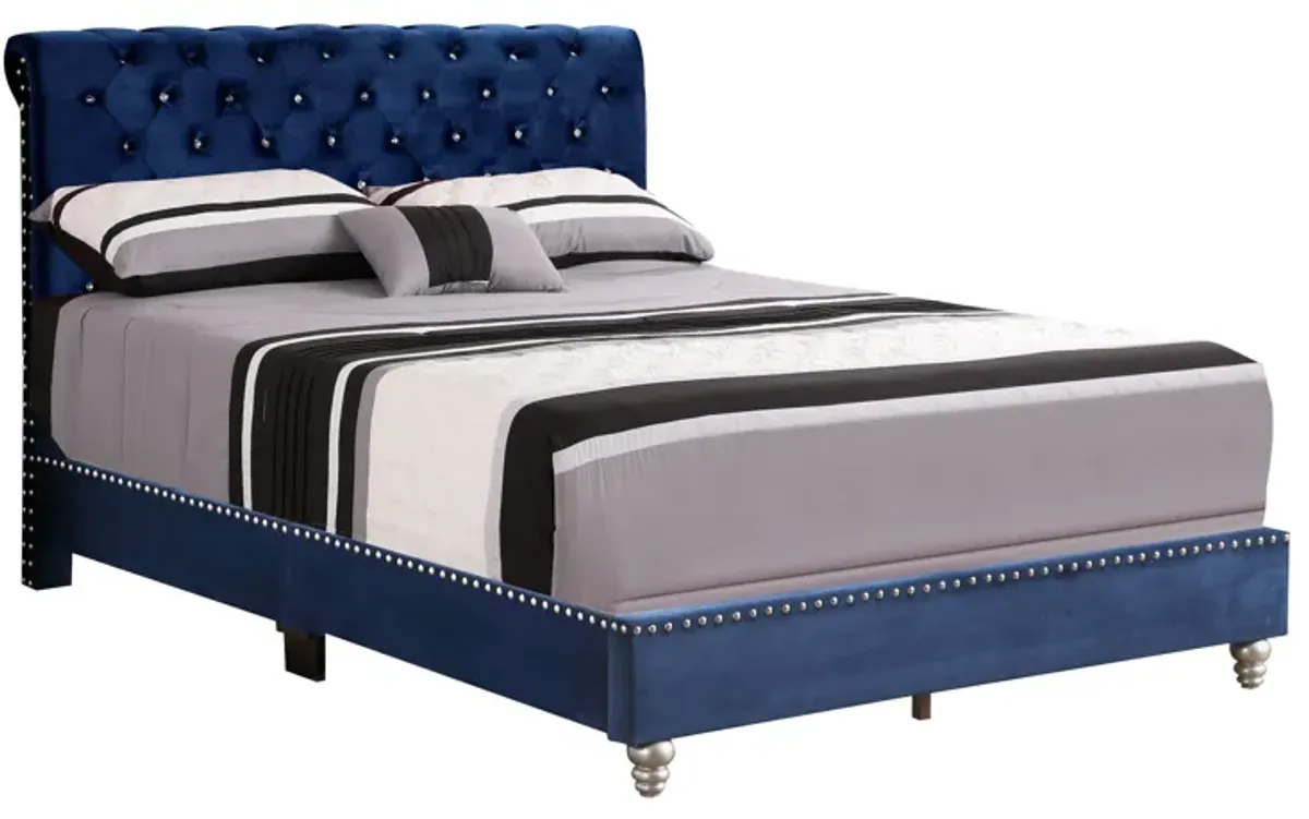 Maxx - Tufted Upholstered Bed