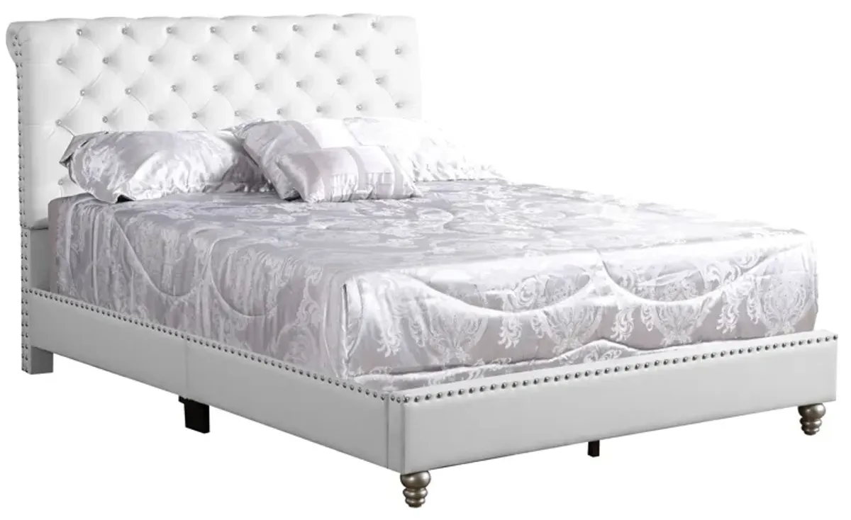 Maxx - Tufted Upholstered Bed