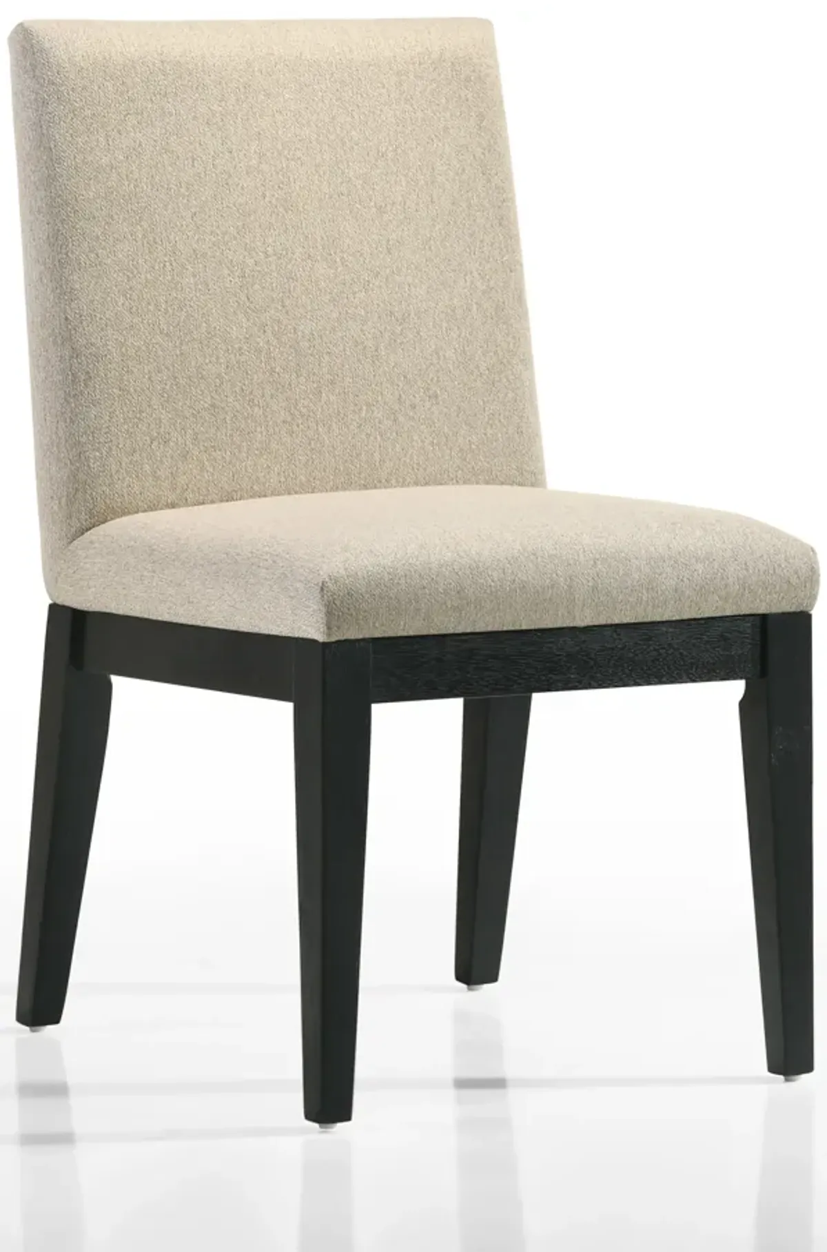 Jasper - Contemporary Fabric 19" Dining Chair (Set of 2)