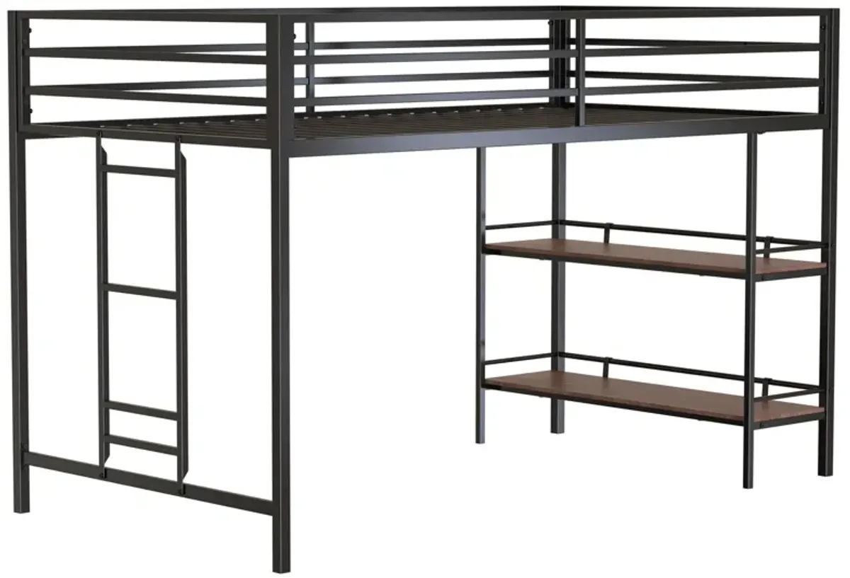 Adam - Junior Twin Loft Bunk Bed - Black With Cinnamon Wood Shelf