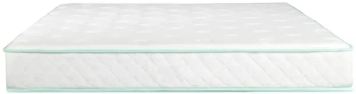 Excellence 9" Medium Tight-Top Hybrid Aloe Vera Foam Encased Pocket Coil Mattress