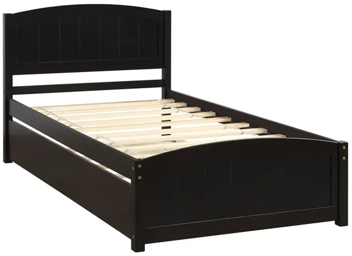 Platform Bed With Trundle