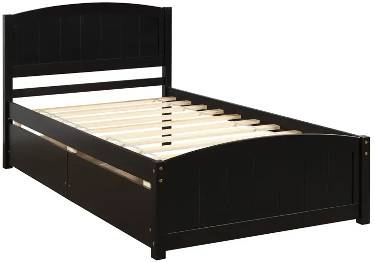 Twin Size Platform Bed With Two Drawers