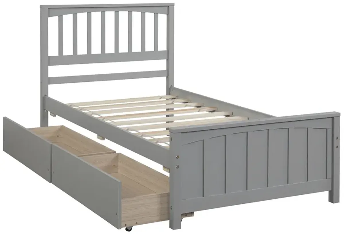 Twin Size Platform Bed With Two Drawers