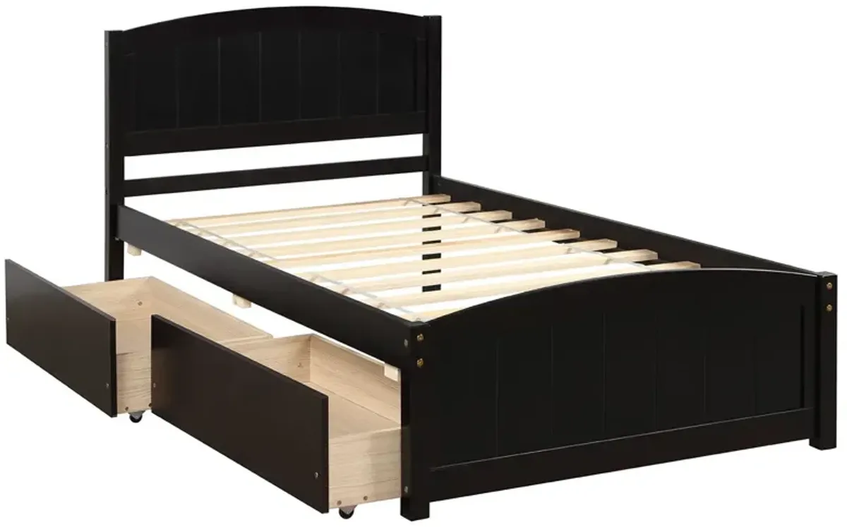 Twin Size Platform Bed With Two Drawers