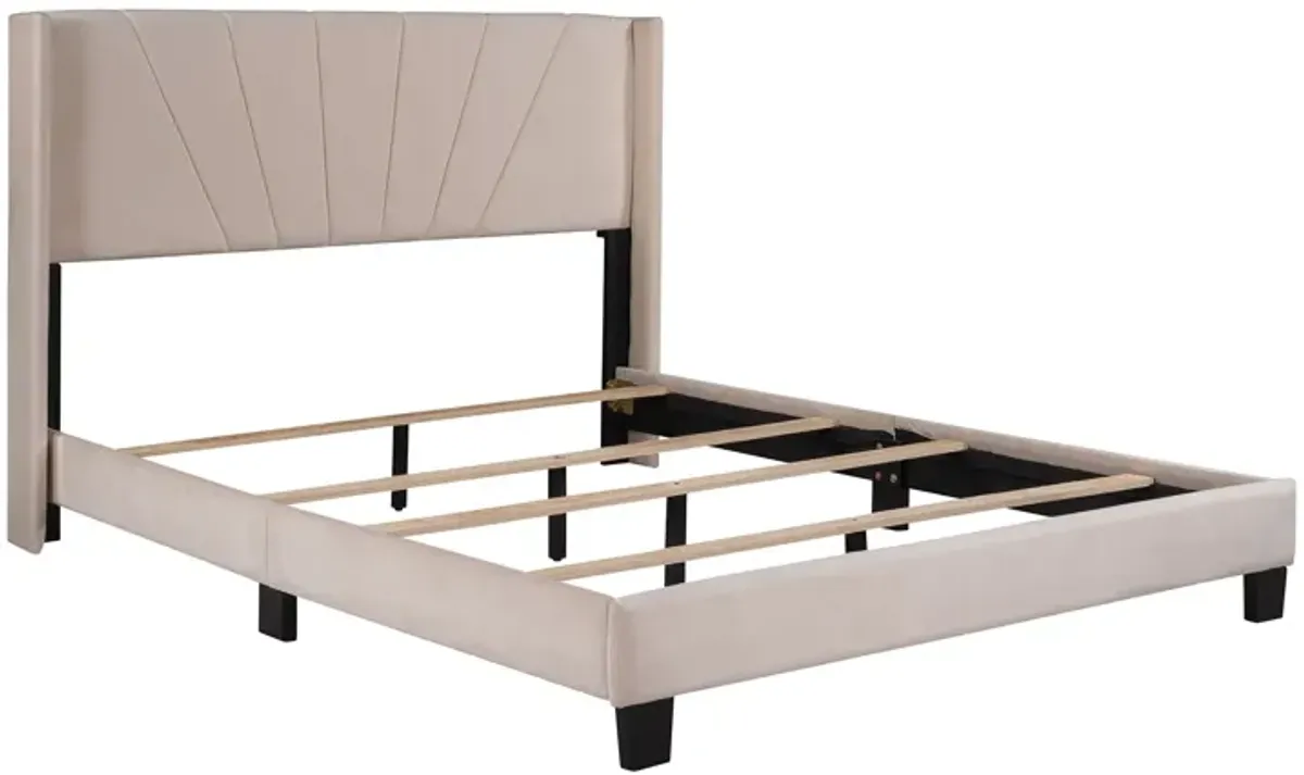 Queen Size Velvet Upholstered Platform Bed, Box Spring Needed