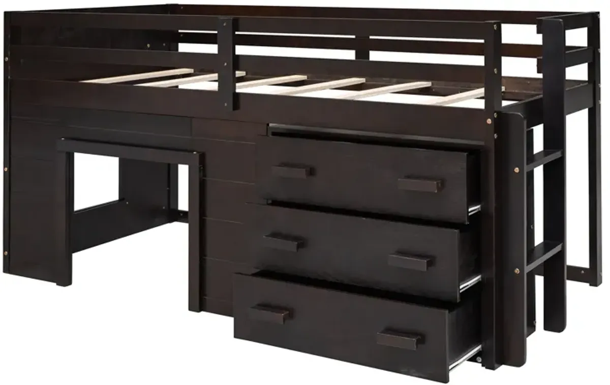 Twin Size Loft Bed With Cabinet And Shelf