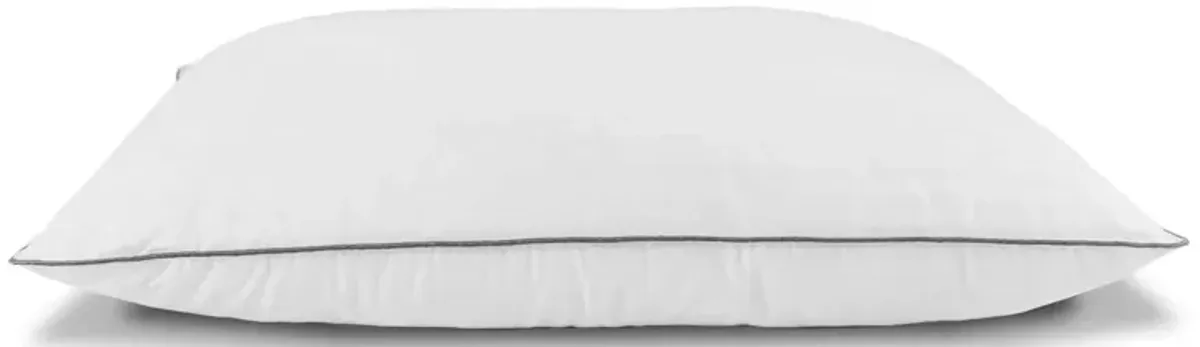 2 Pack Pillows - White