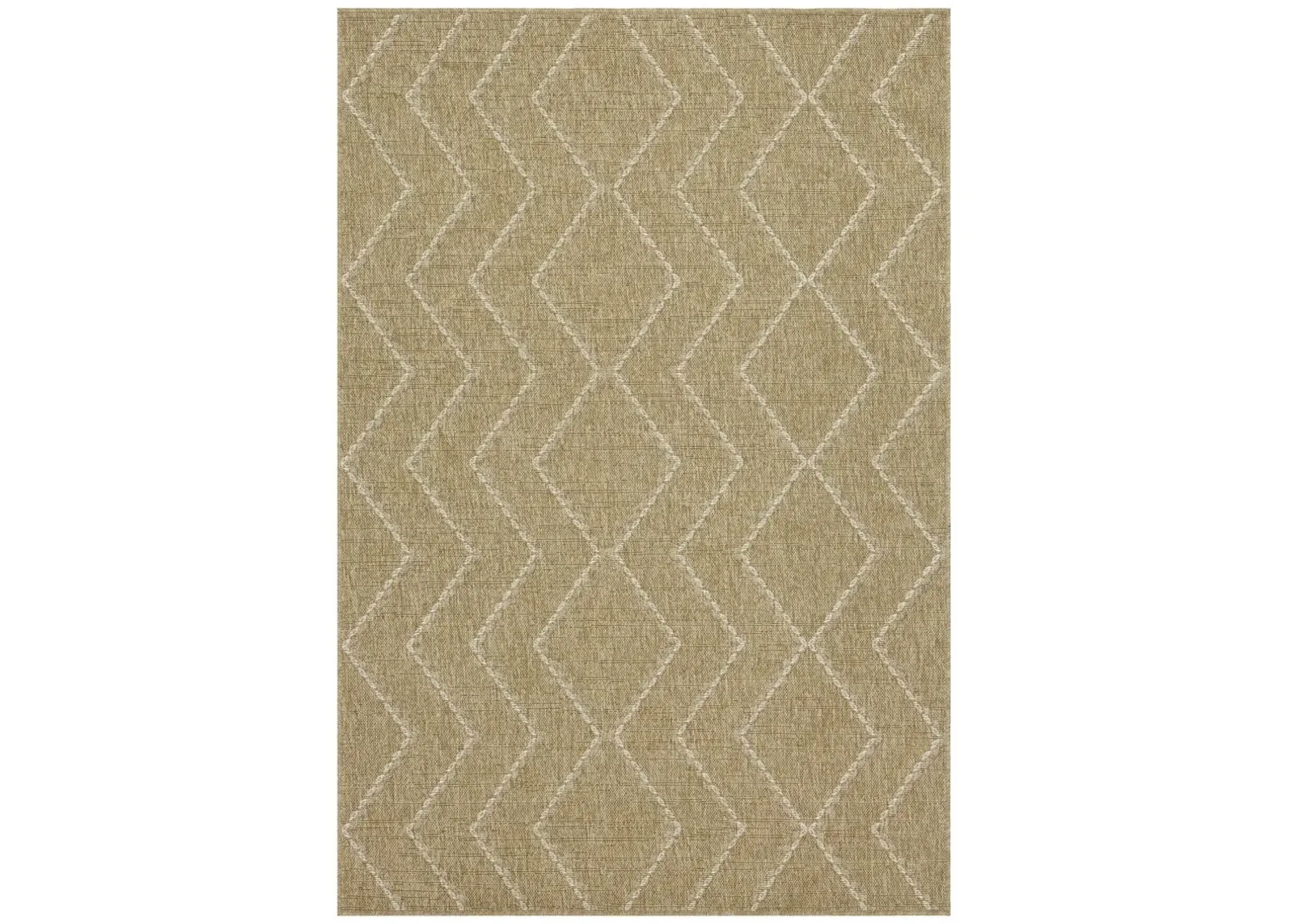 Earth - Indoor / Outdoor Area Rug - Jute / White