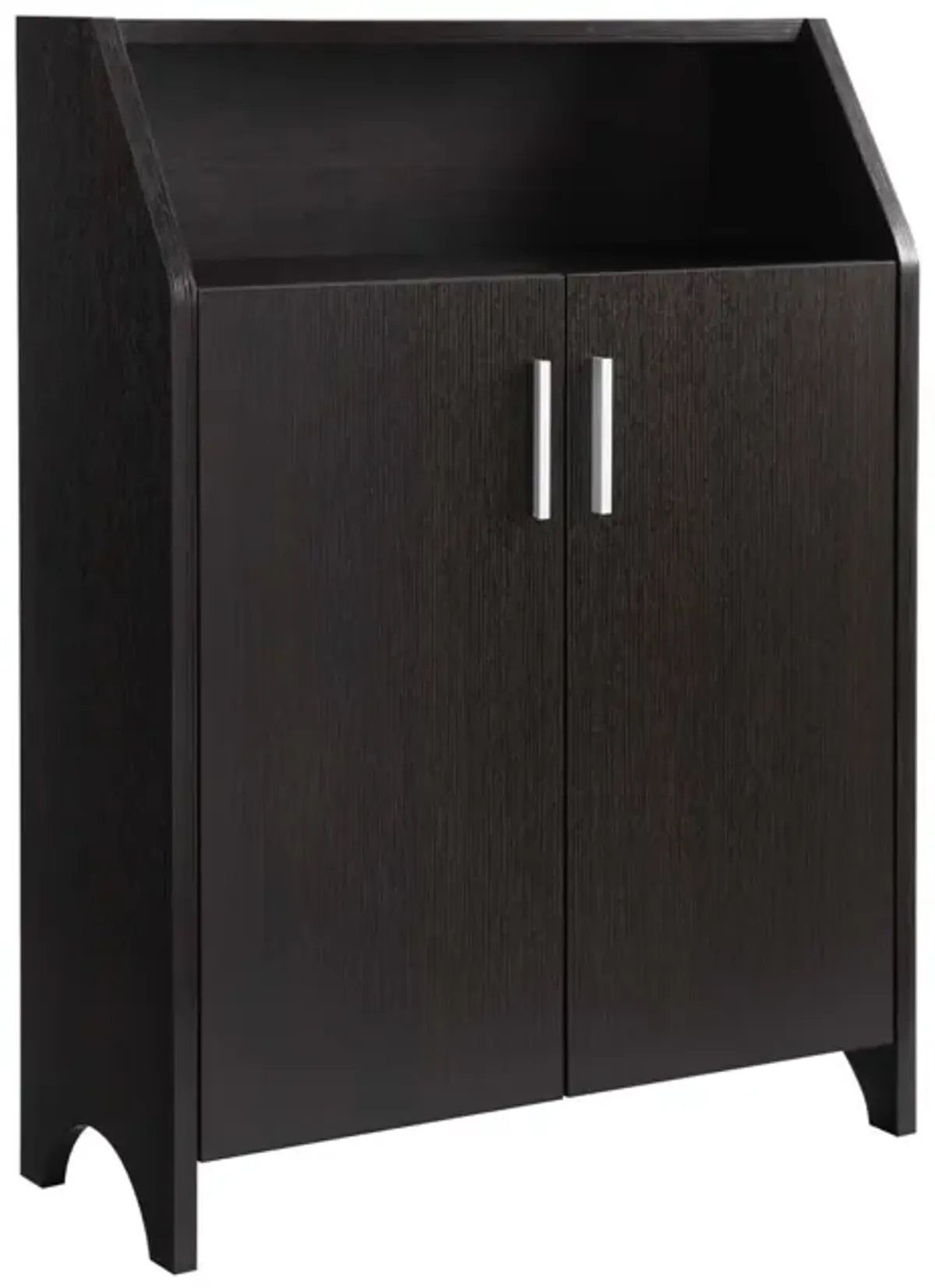 Modern Shoe / Storage Cabinet Two Door With 4 Shelves