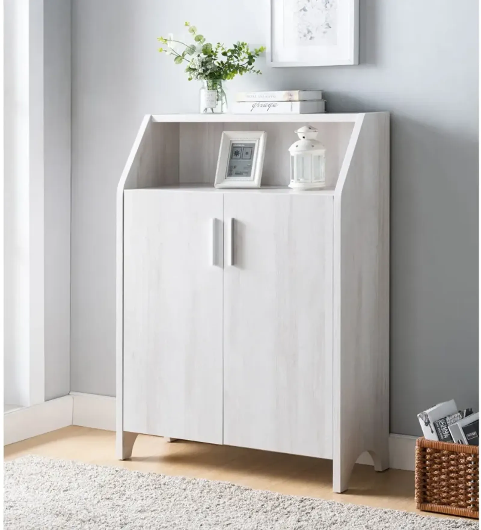 Modern Shoe / Storage Cabinet Two Door With 4 Shelves