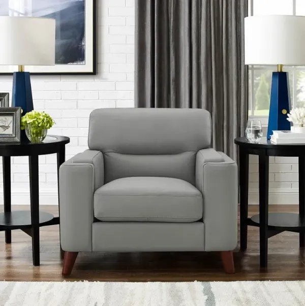 Elm - Leather Chair