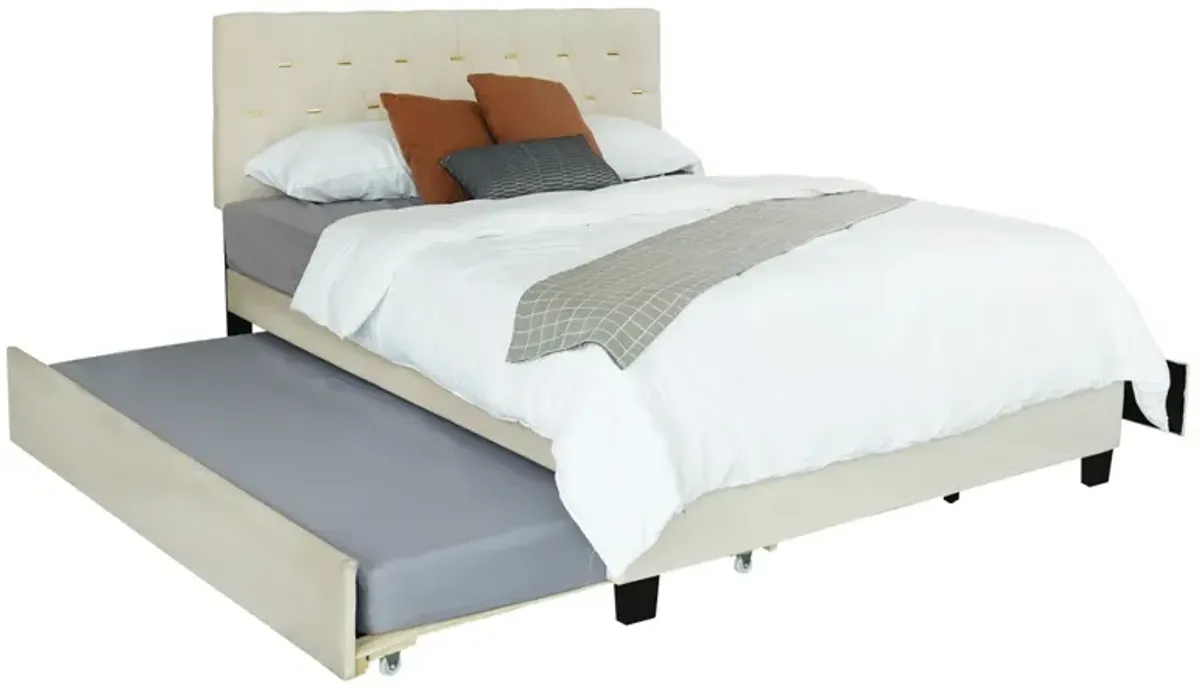 Trundle Pull Out Drawers Storage Upholstered Bed Modern Design No Box Spring Required