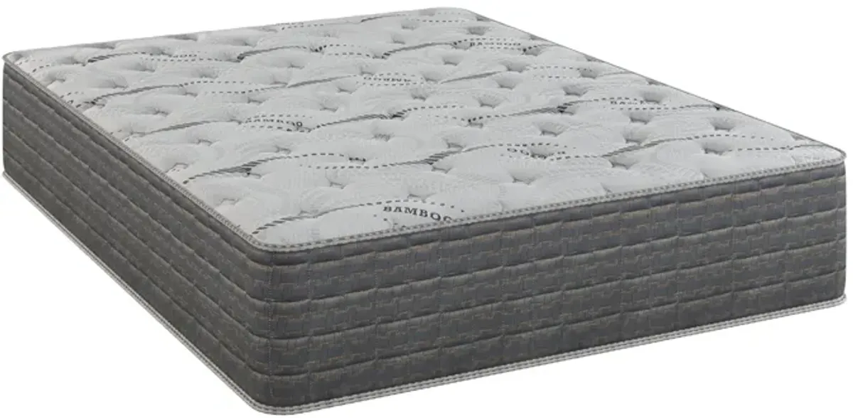 Dream Flex - 13.5" Two Sided Plush Mattress