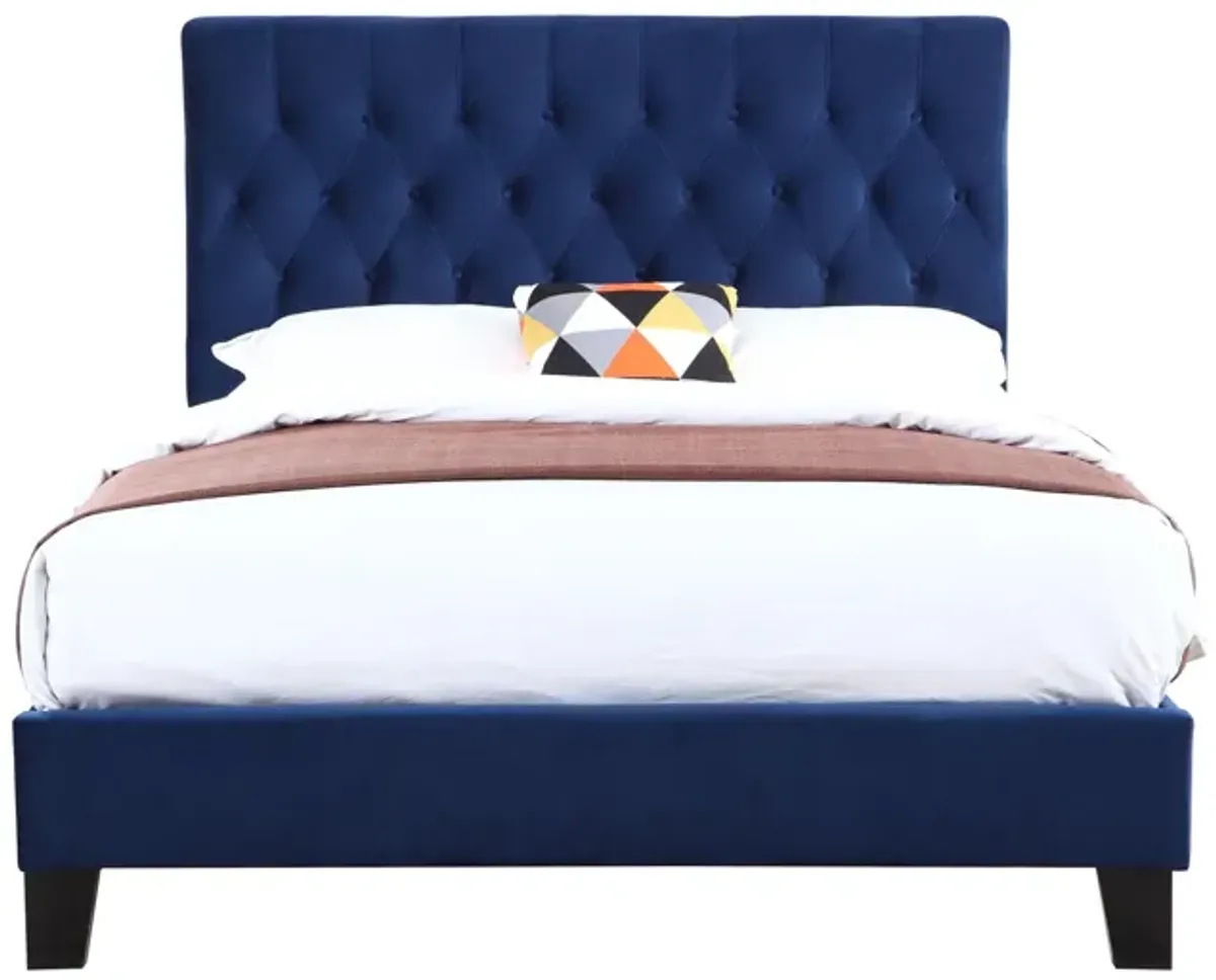 Luma - Queen Upholstered Bed - Blue