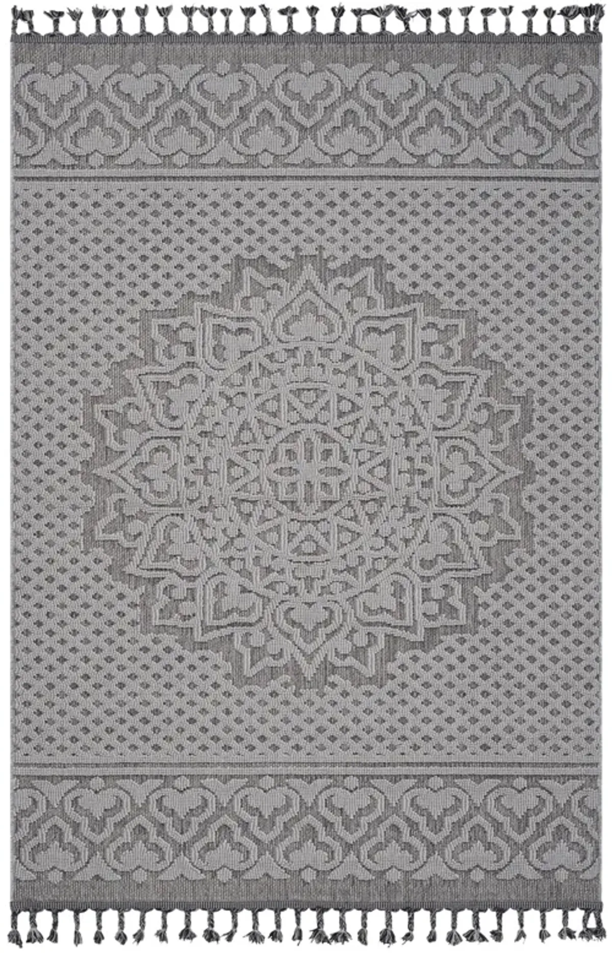 Medallion Indoor / Outdoor Area Rug