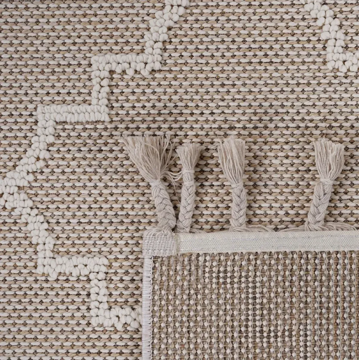 Trellis Indoor / Outdoor Area Rug