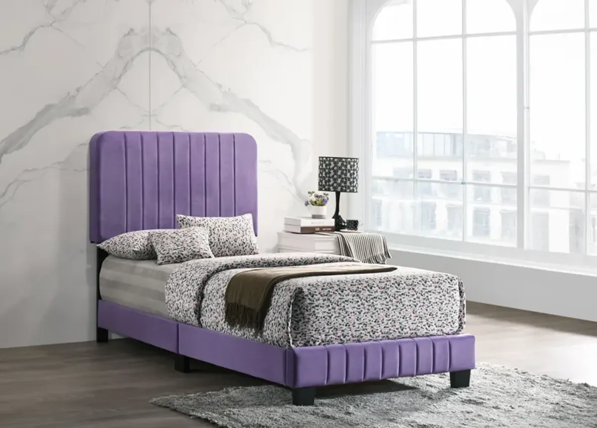 Lodi - Bed