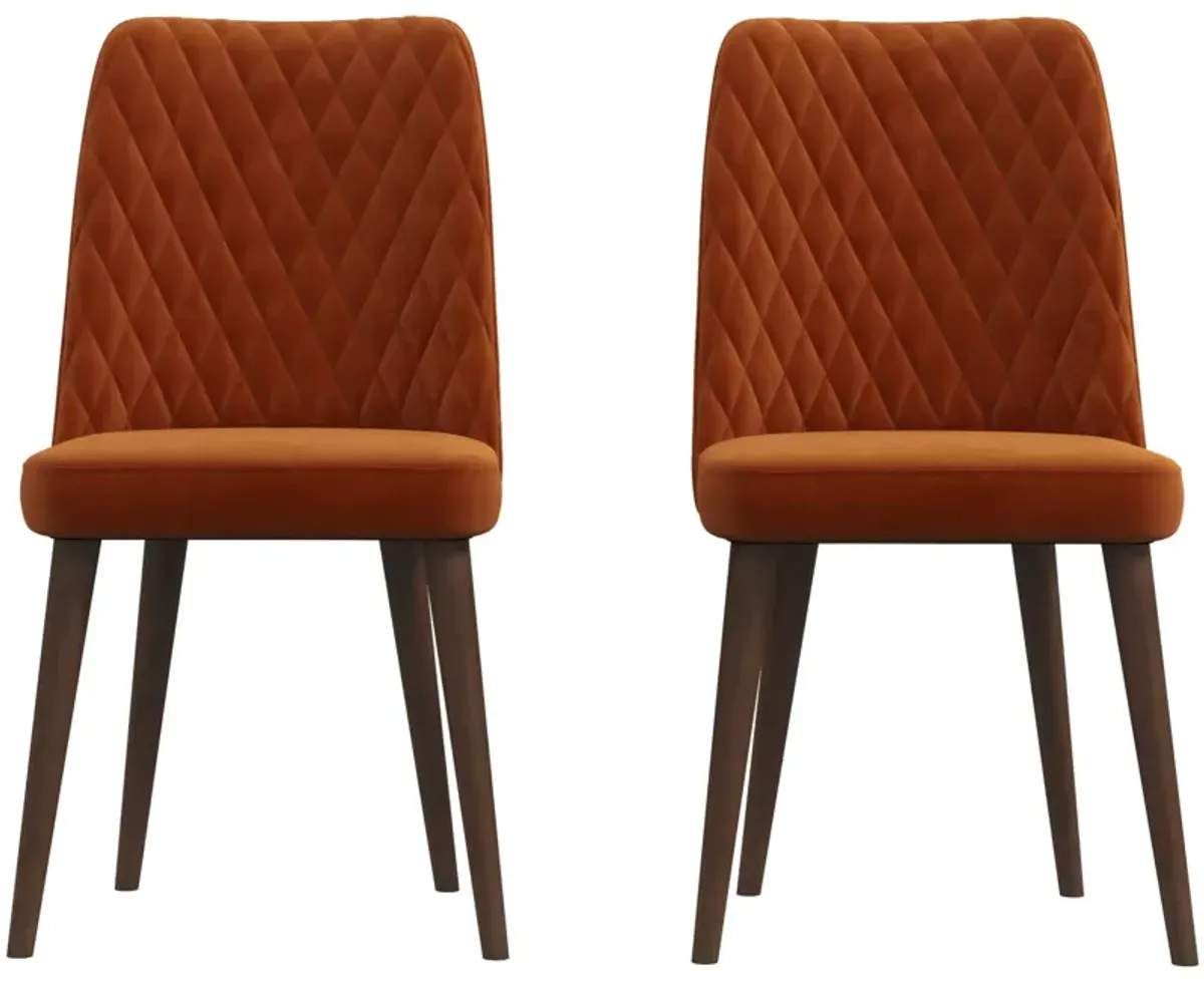 Katie - Mid-Century Modern Dining Chair (Set of 2)