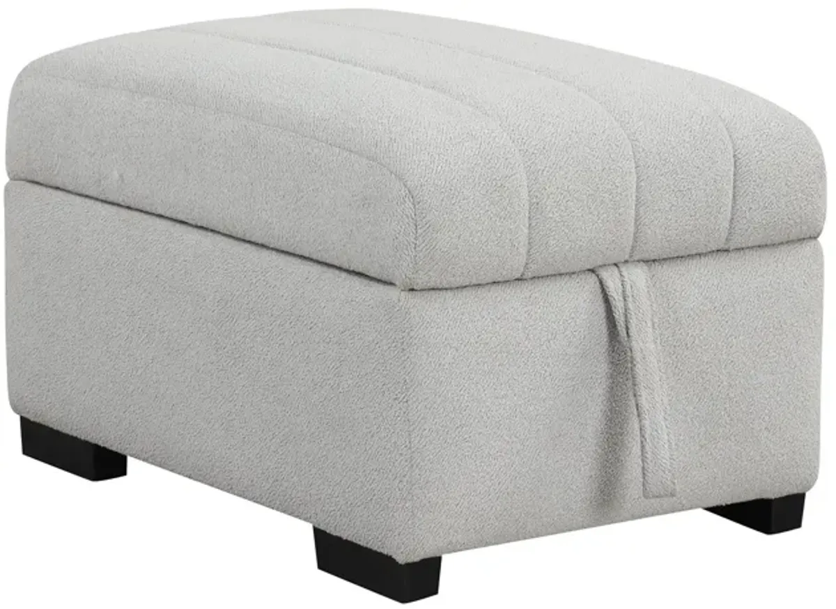 L-Shaped Sectional Pull Out Sofa Bed Sleeper Sofa With Two USB Ports, Two Power Sockets And A Movable Storage Ottoman