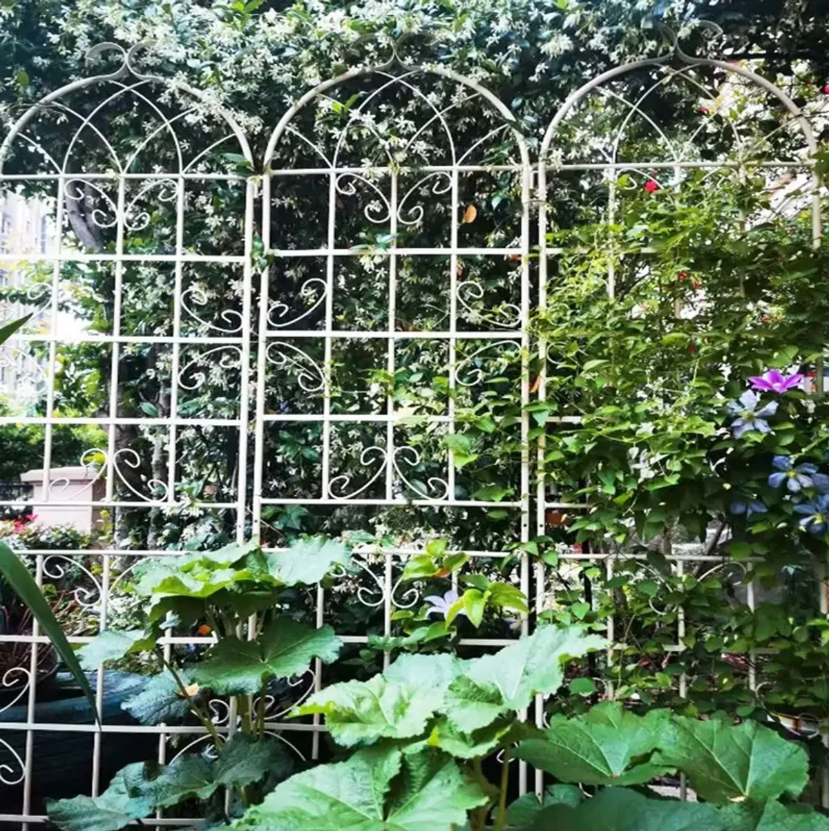 Metal Garden Rustproof Trellis For Climbing Plants Outdoor Flower Support