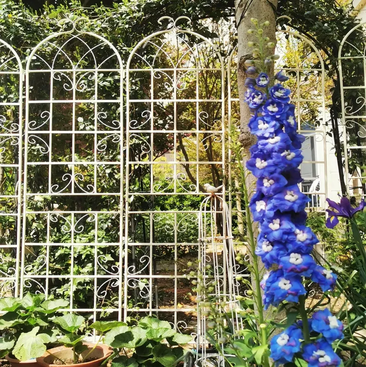 Metal Garden Rustproof Trellis For Climbing Plants Outdoor Flower Support