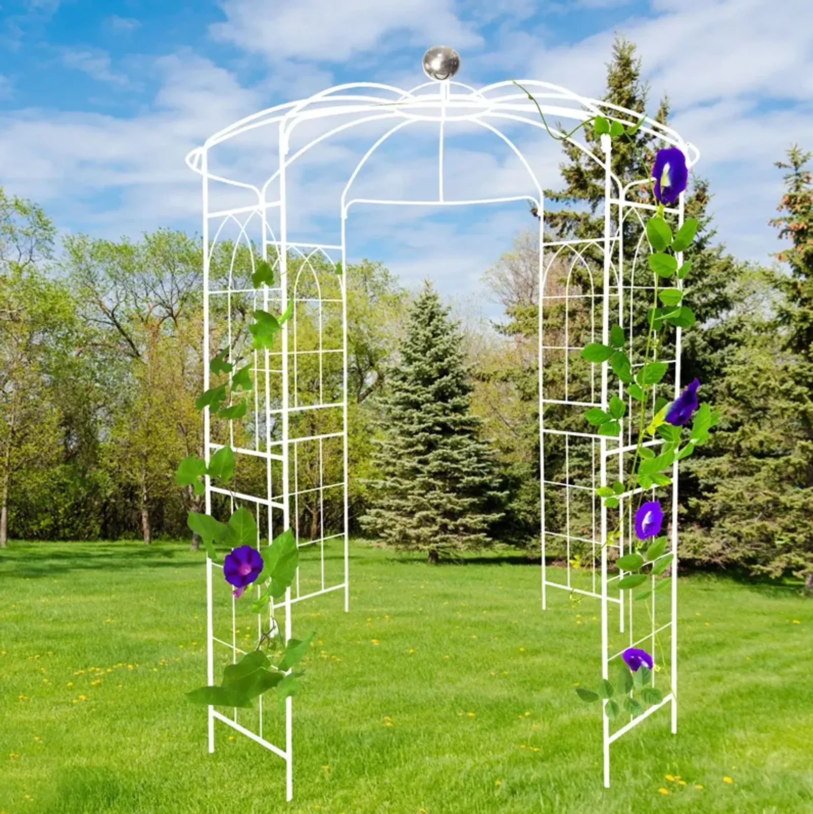 Metal Garden Arch Iron Garden Arbors Gazebo Dia High Birdcage Shape Pergola Pavilion For Wedding Ceremony