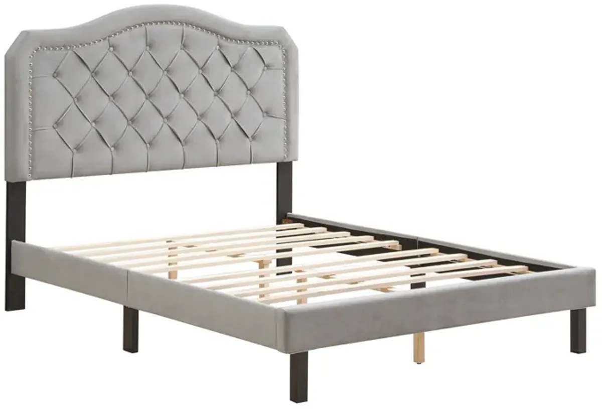 Queen Platform Upholstered Bed Button Tufted With Curve Design, Strong Wood Slat Support - Gray