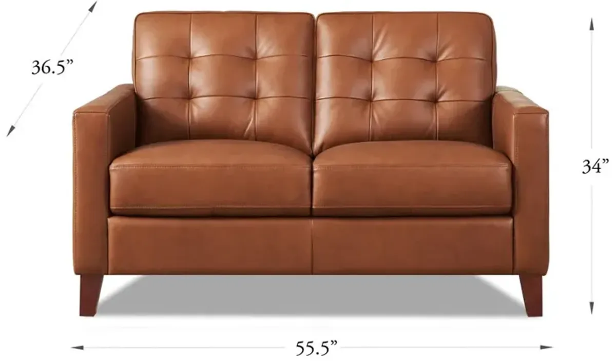 Aiden - Leather Loveseat