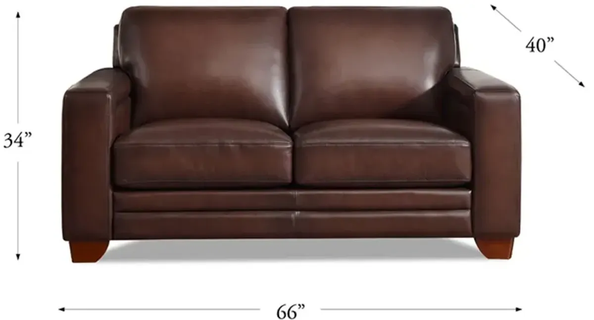 Aiden - Leather Loveseat