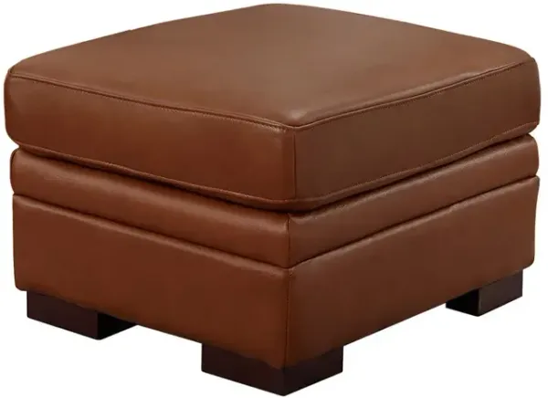 Dillon - Leather Ottoman