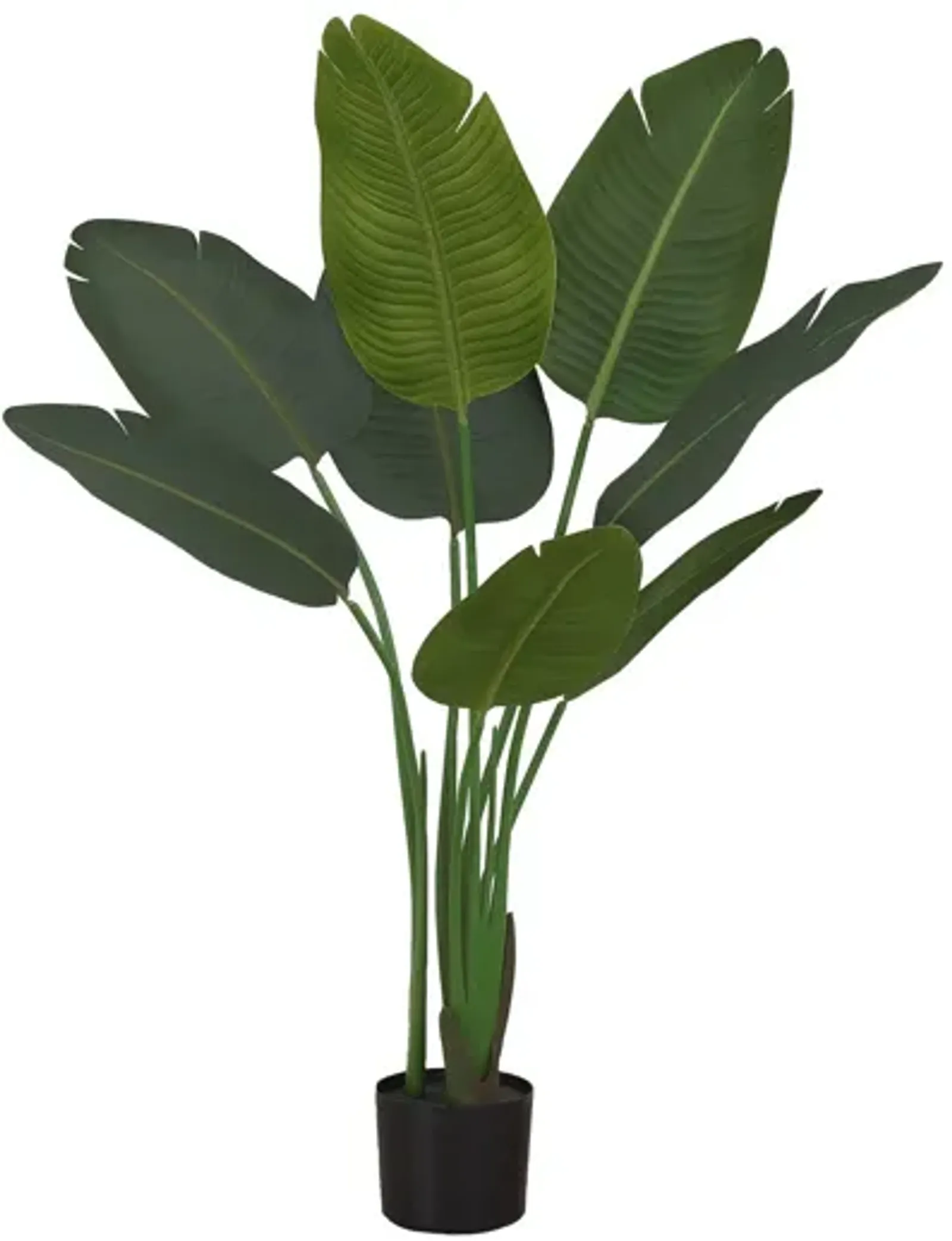 44" Tall, Artificial Plant, Bird Of Paradise Tree, Indoor, Faux, Fake, Floor, Greenery, Potted, Decorative - Green / Black