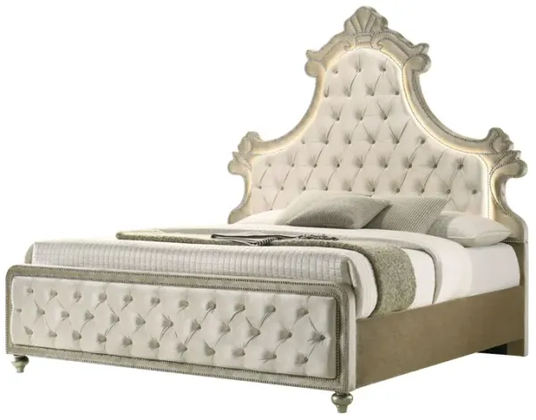 Lucienne -Queen Bed Velvet With LED - Beige