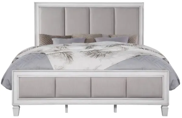 Katia - Upholstered Bed