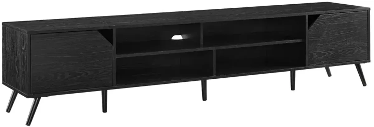 Contemporary 2 Door Minimalist TV Stand