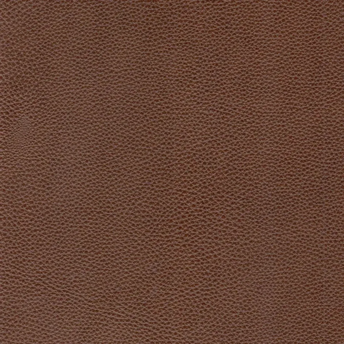 Mid-Century Leather Sofa