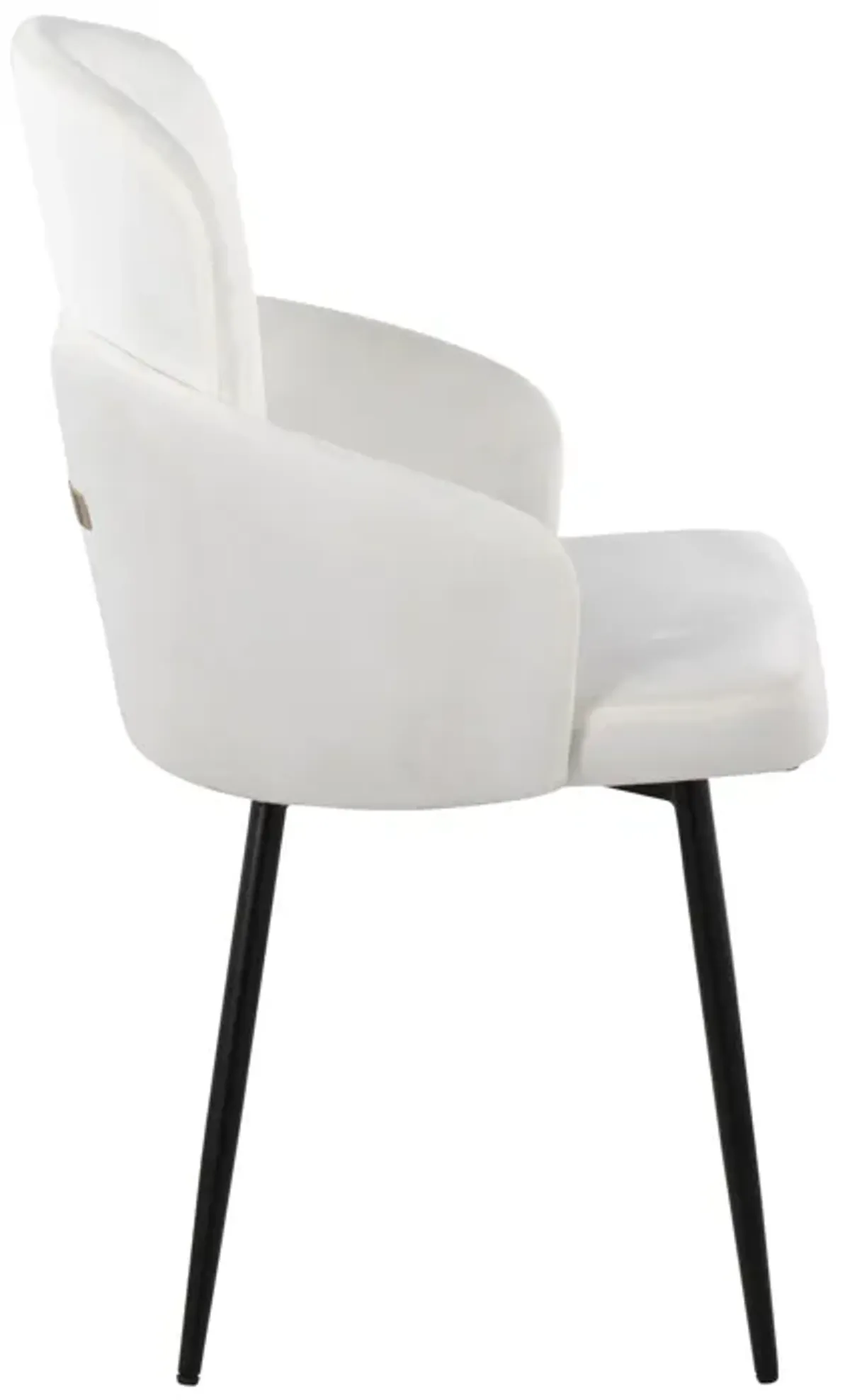 Dahlia - Contemporary Elegant Design Dining Chair (Set of 2)