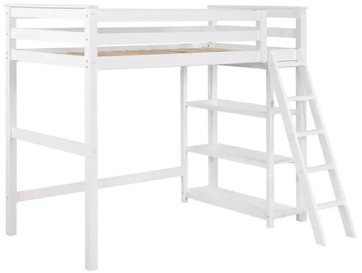 Anica - 3-Shelf Wood Loft Bed