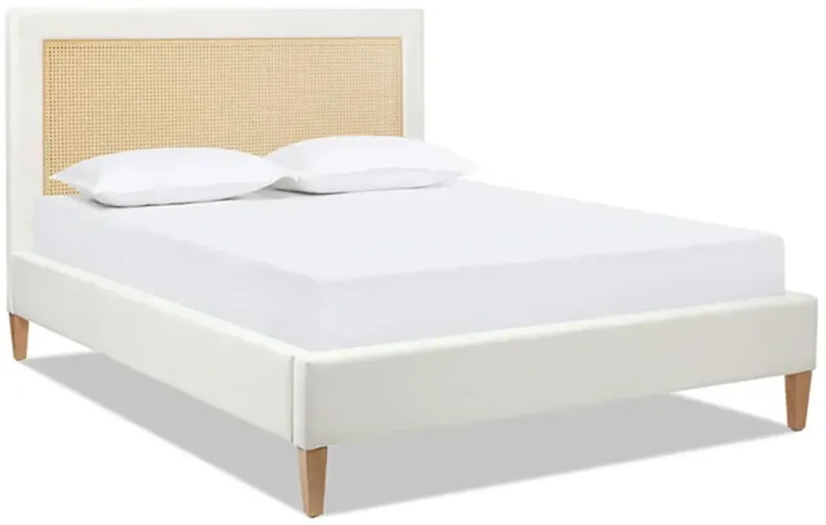 Haley - Upholstered Cane Back Platform Bed