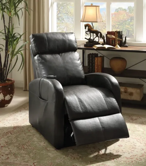 Ricardo - Power Motion Recliner & Lift - Brown