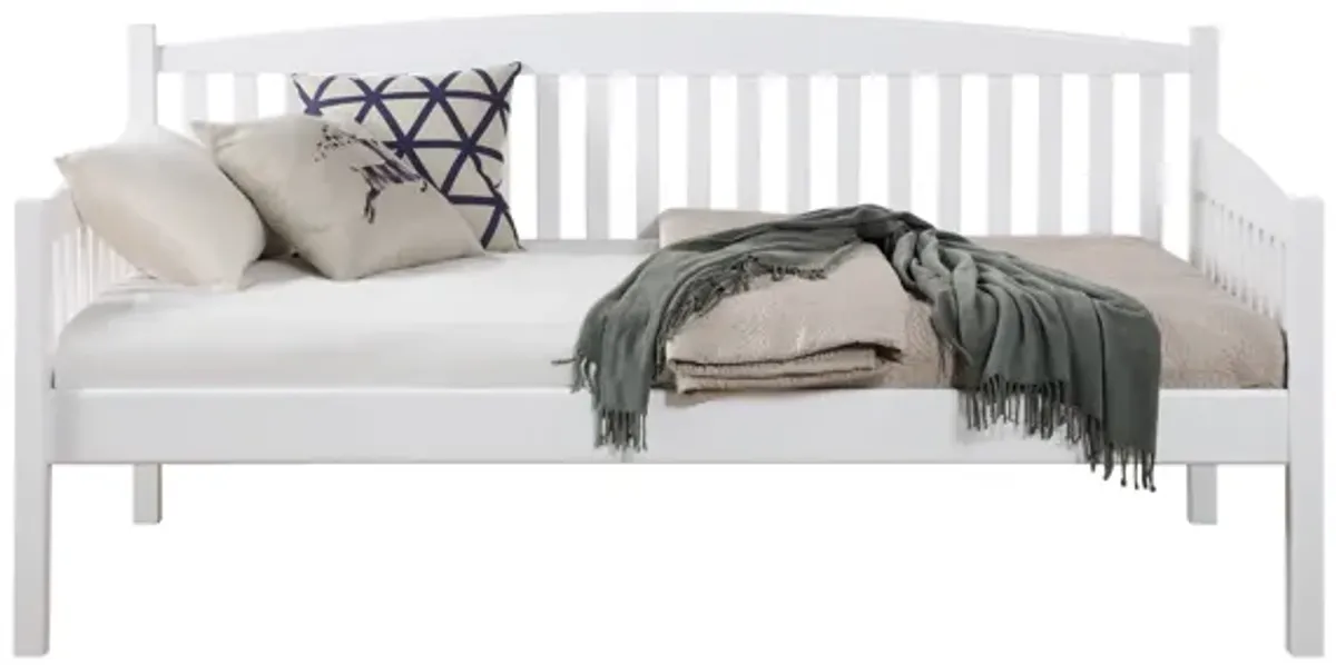 Caryn - Daybed, Stylish