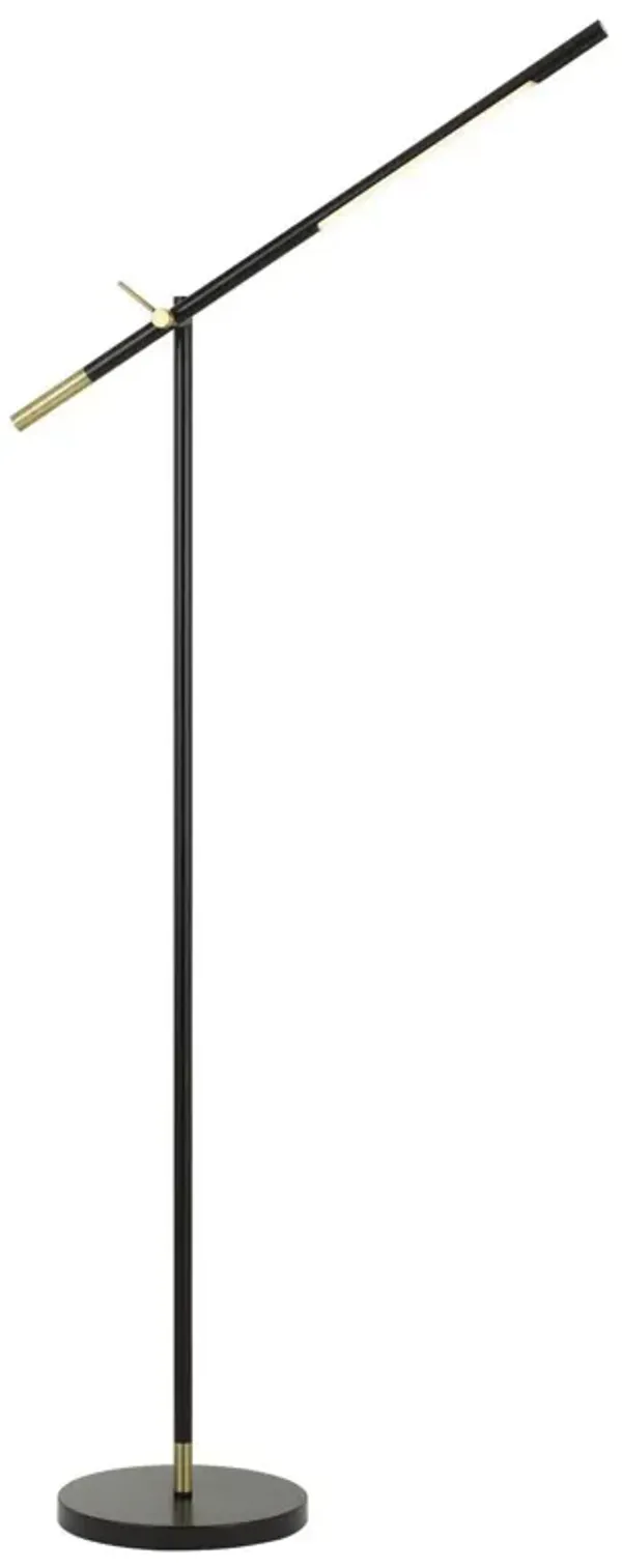 Adjustable Traditional Shaped Floor Lamp - Black